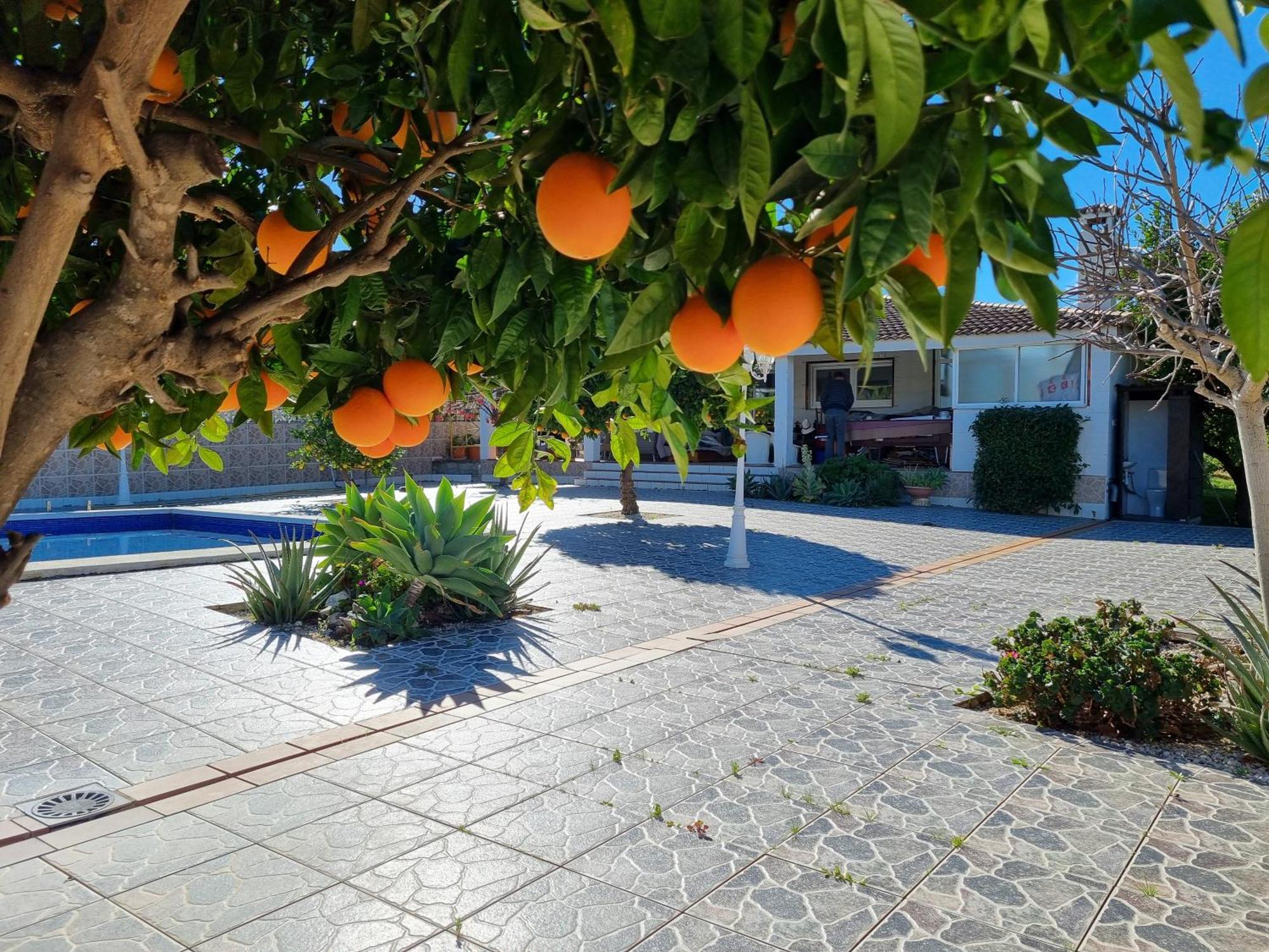 Villa Vista El Montanes Malaga